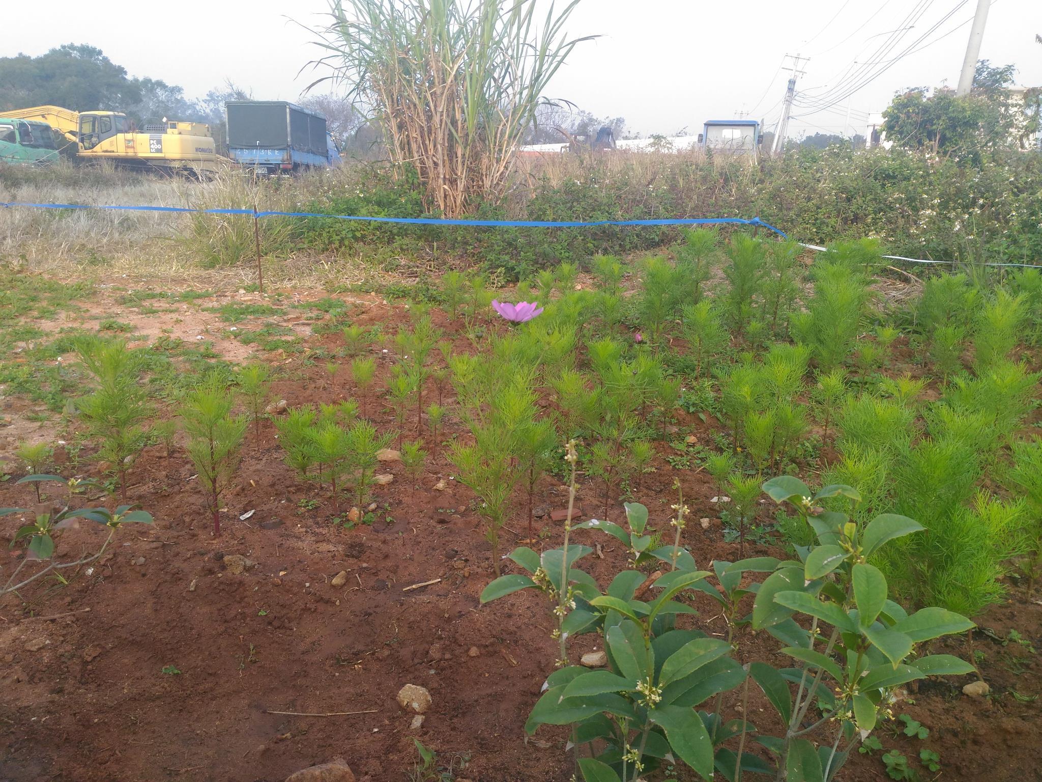 Khu vực xung quanh