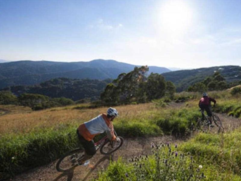 Nơi tham quan gần đây