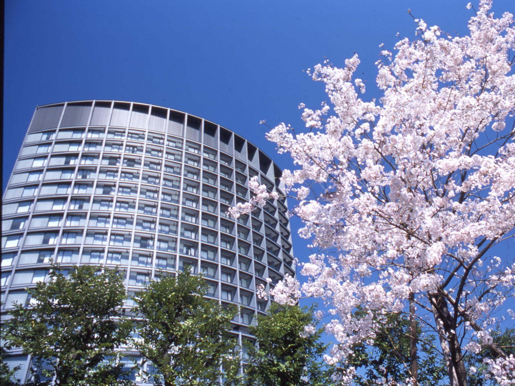 Ngoại cảnh khách sạn