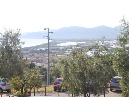 Khu vực xung quanh