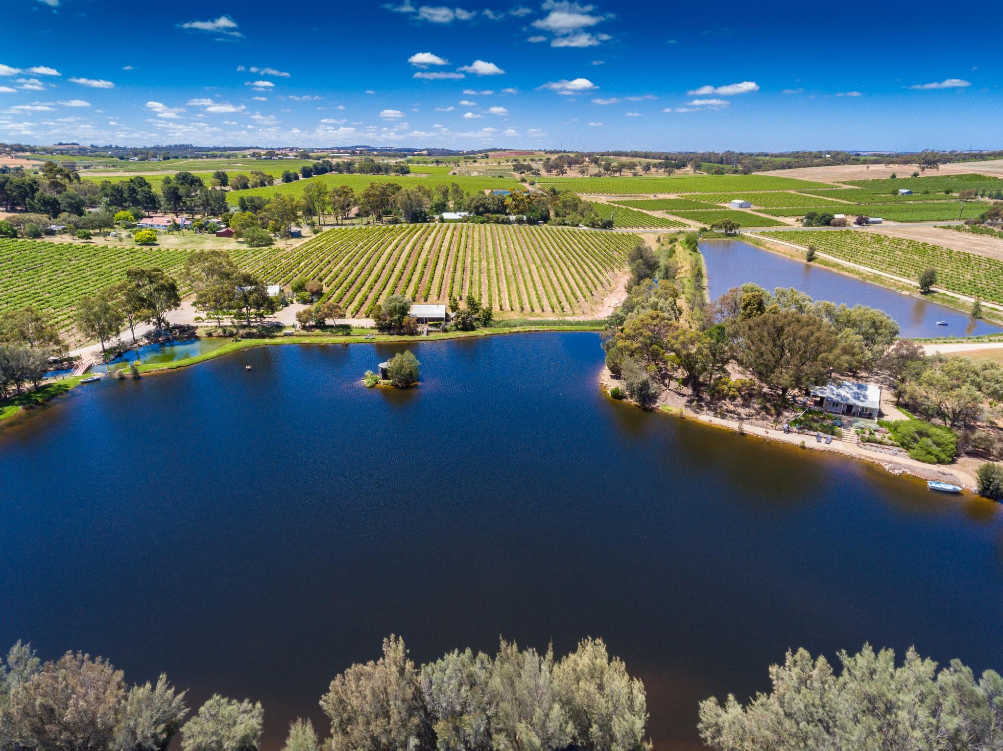 Khu vực xung quanh