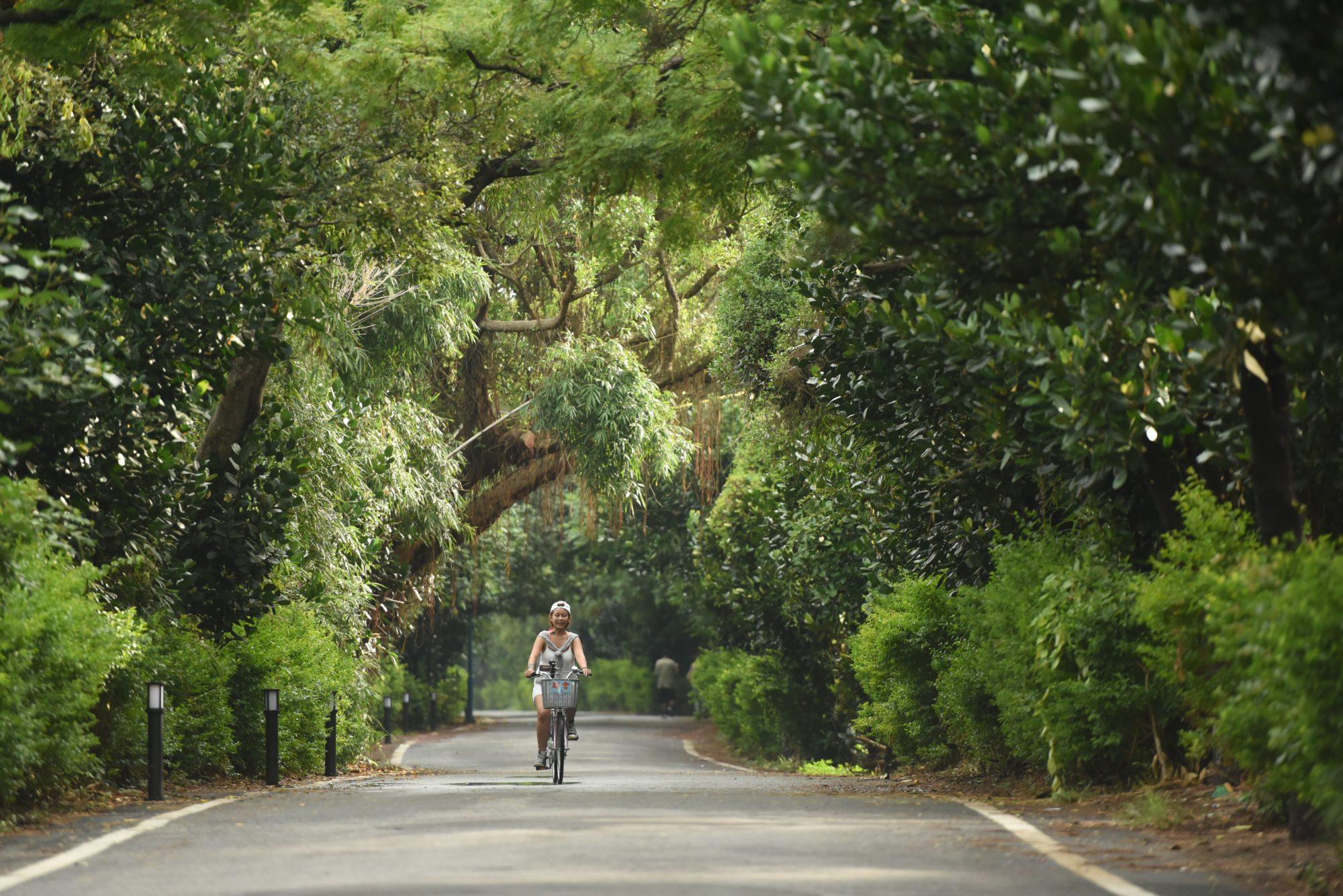 Nơi tham quan gần đây