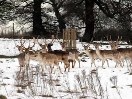 Khu vực xung quanh