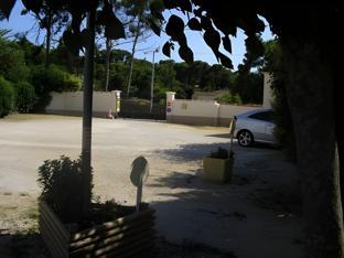 Khu vực xung quanh