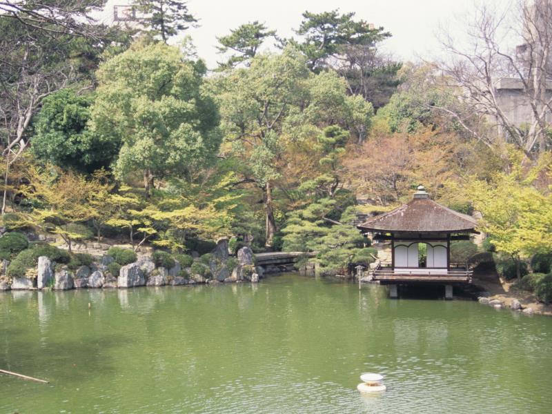 Nơi tham quan gần đây