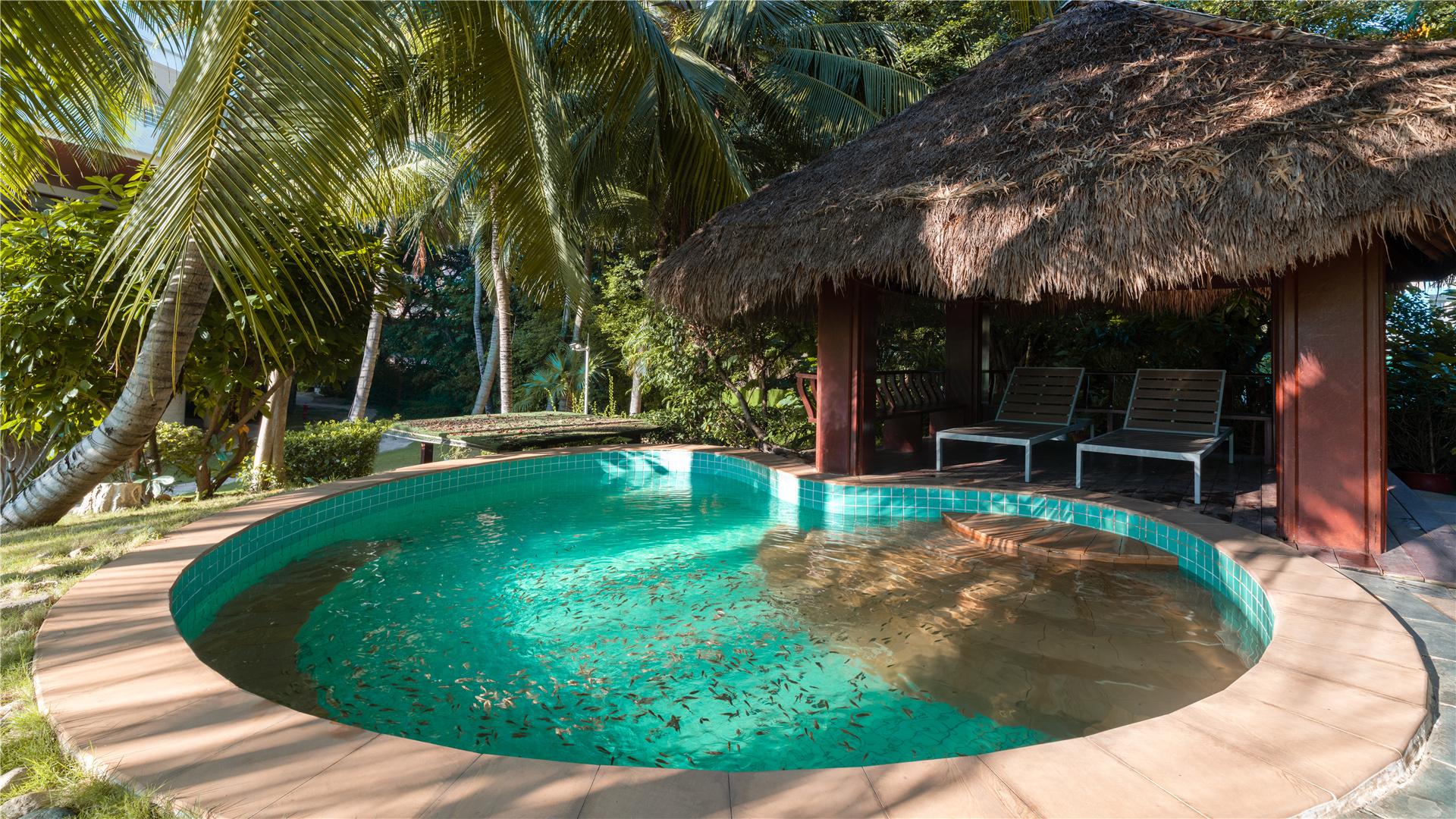 Tắm suối nước nóng