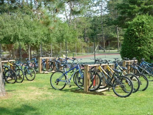 Khu vực xung quanh