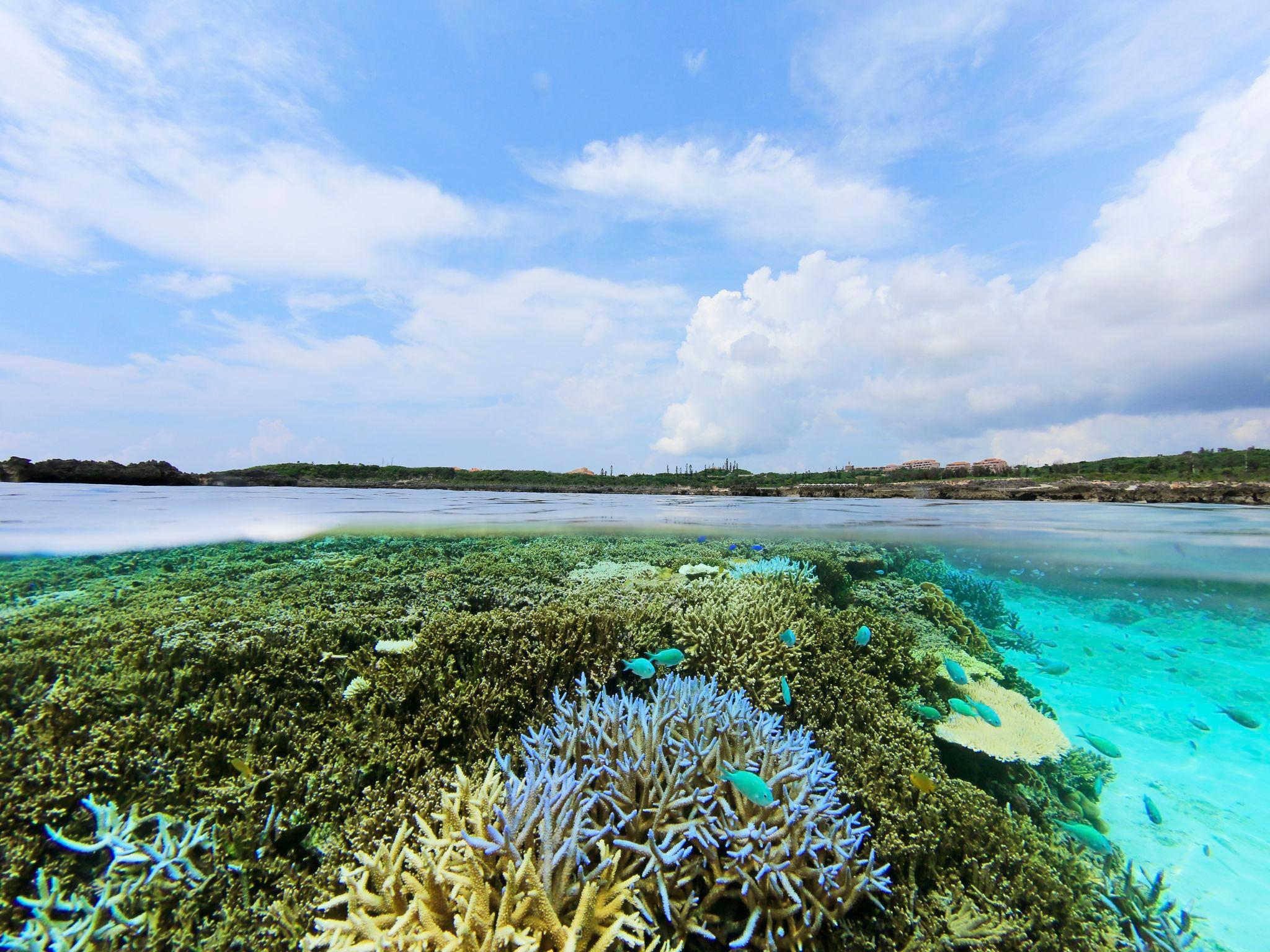 Khu vực xung quanh
