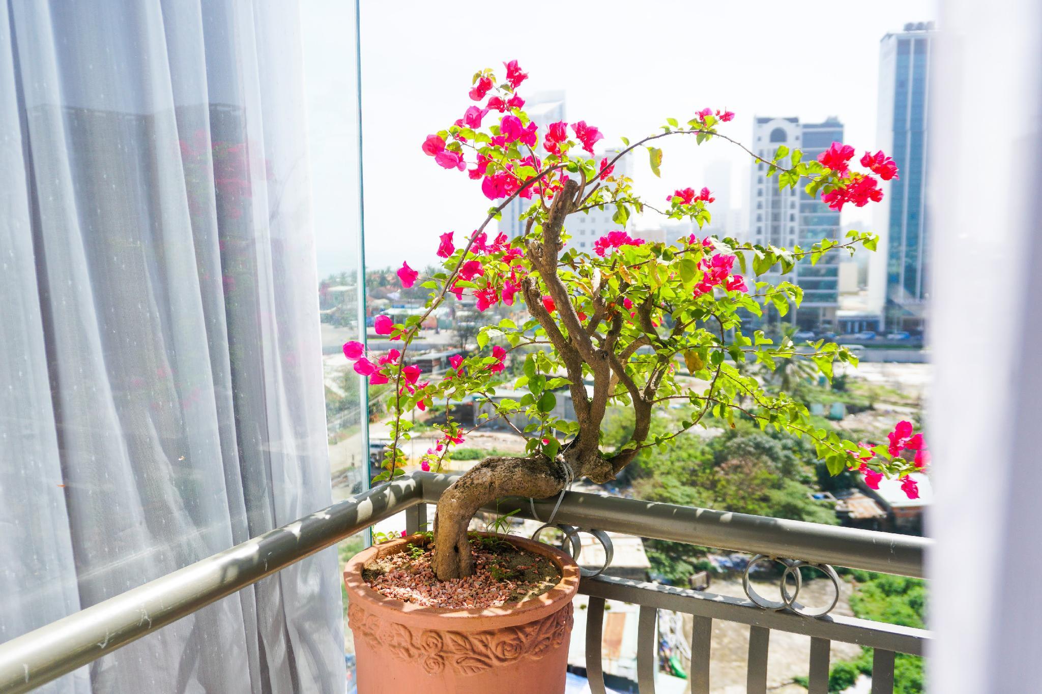 Ngoại cảnh khách sạn