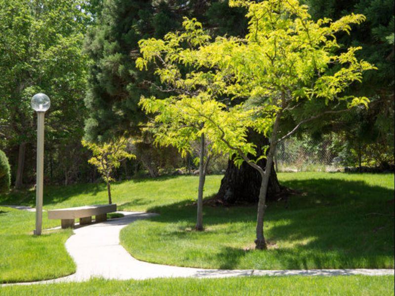 Khu vực xung quanh