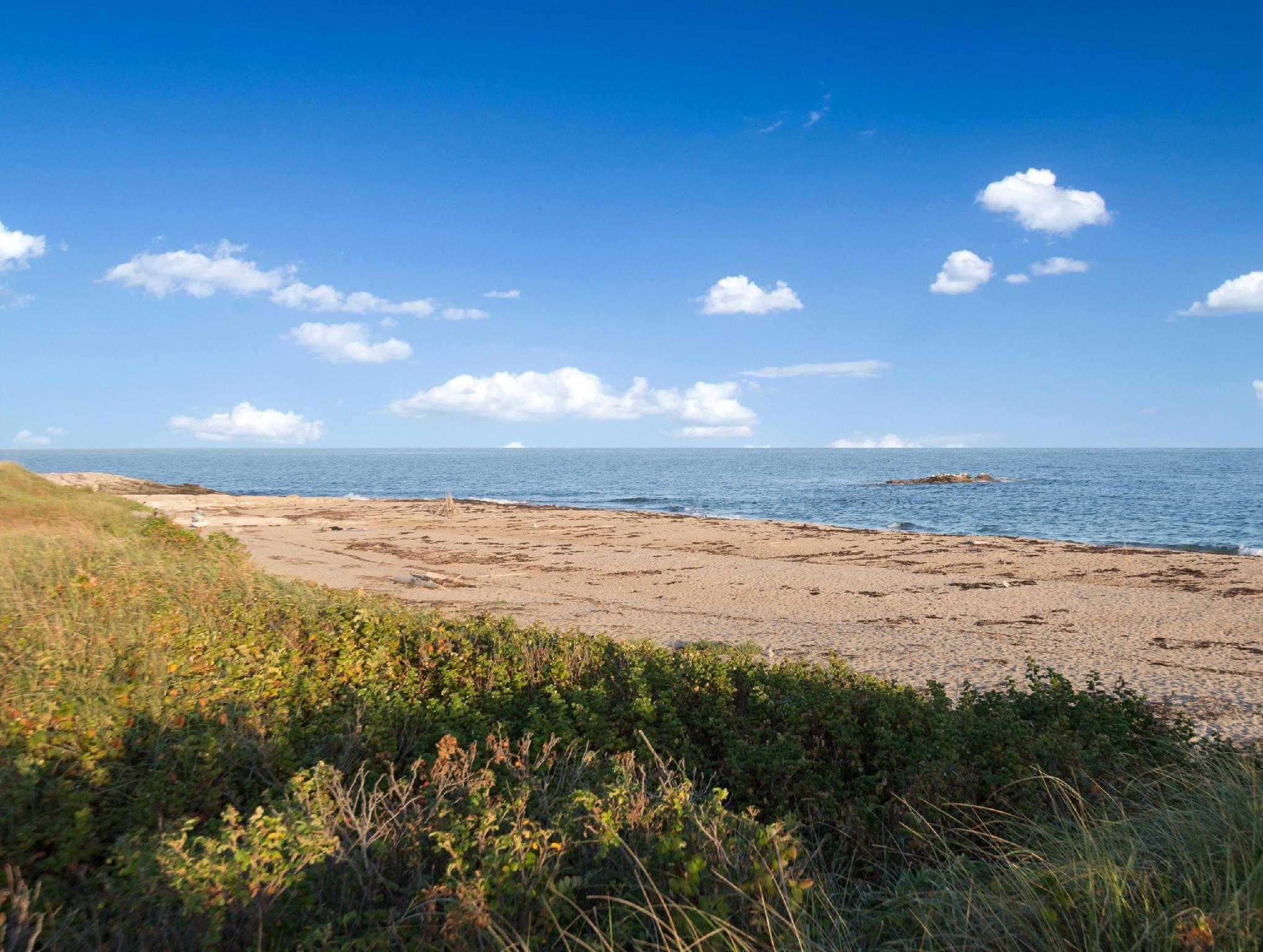 Khu vực xung quanh