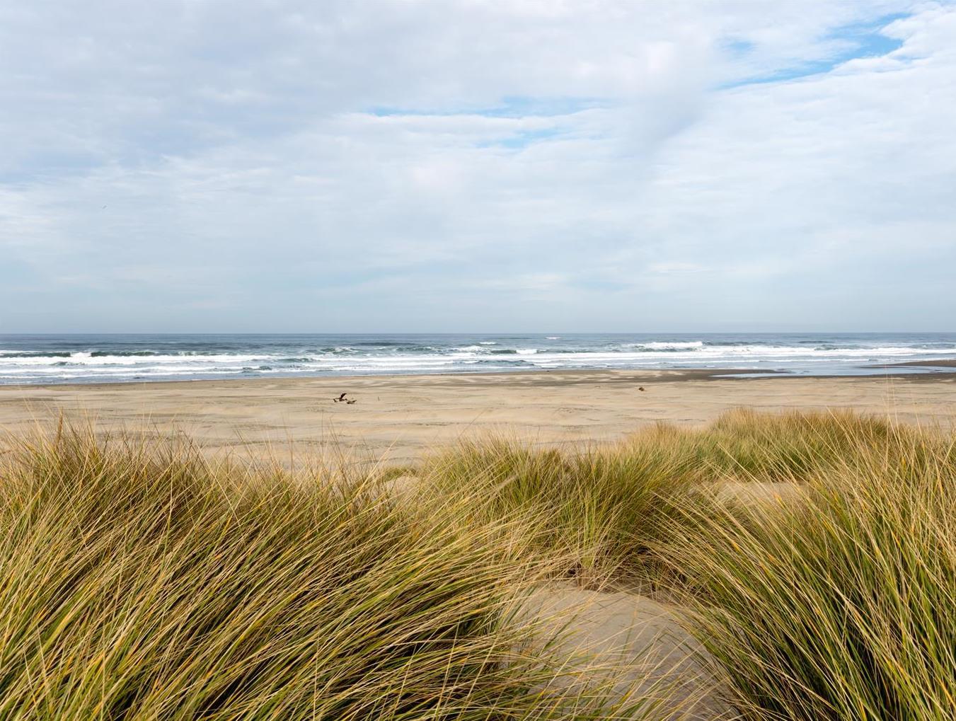 Khu vực xung quanh