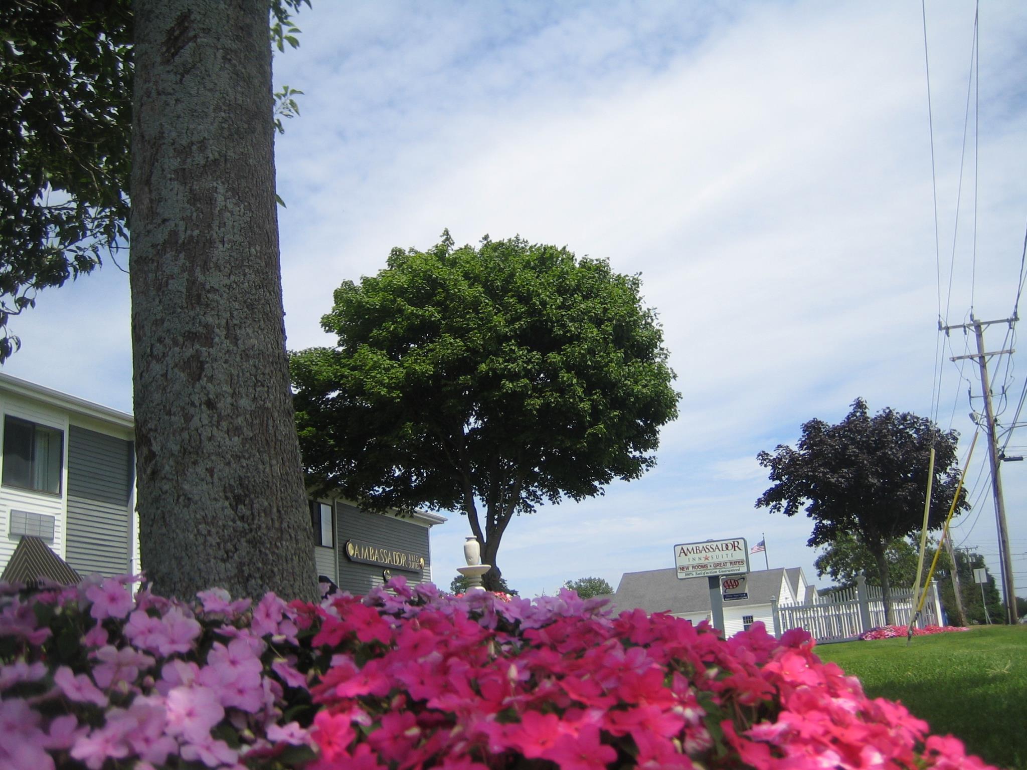 Khu vực xung quanh