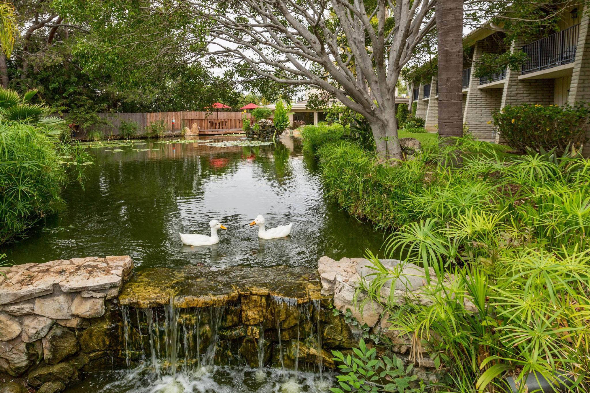 Khu vực xung quanh