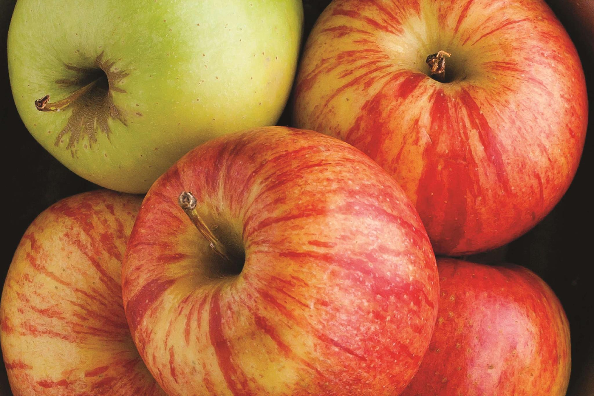 Đồ ăn và thức uống