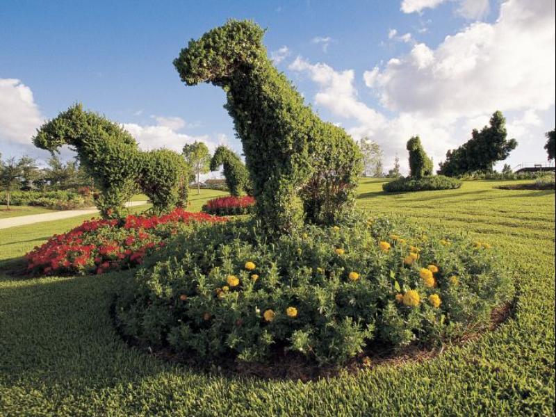 Khu vực xung quanh