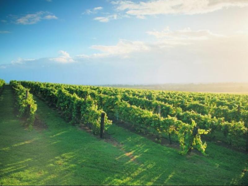 Khu vực xung quanh