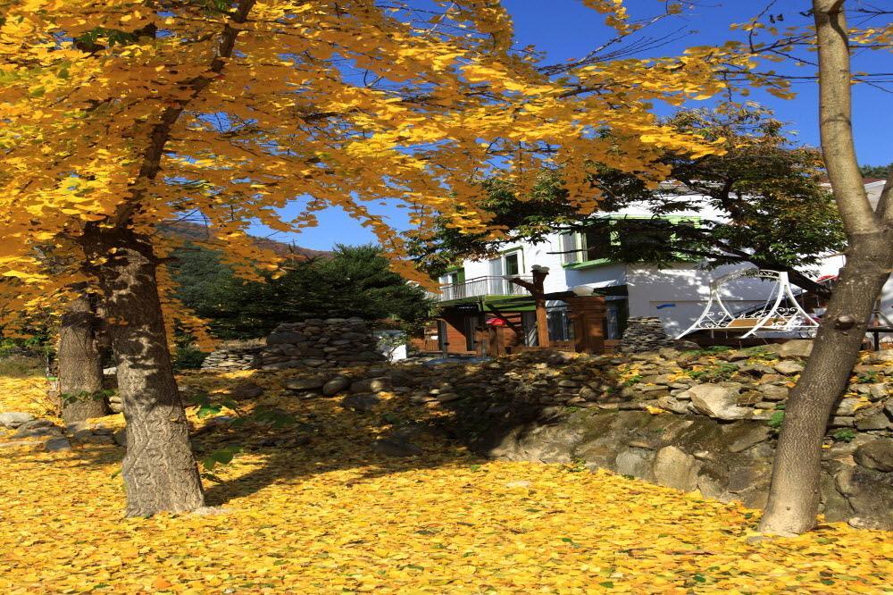 Nội thất khách sạn