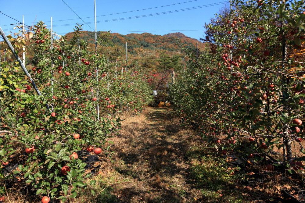 Nội thất khách sạn