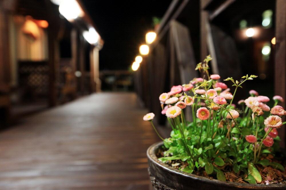 Nội thất khách sạn