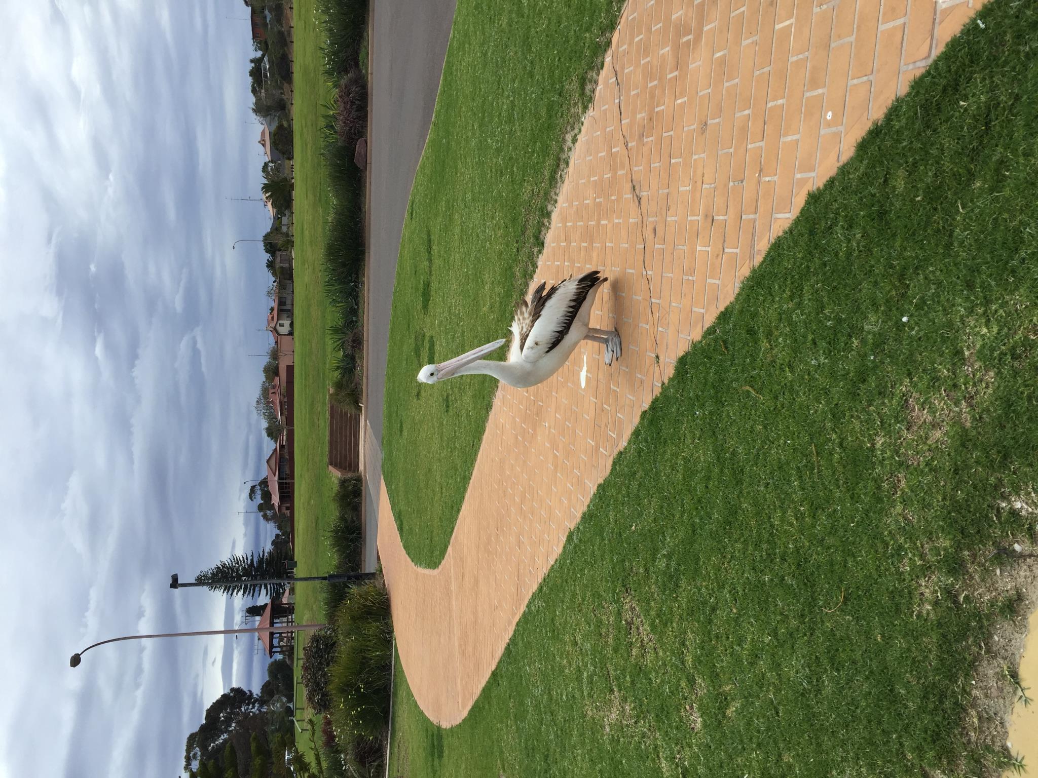 Nơi tham quan gần đây