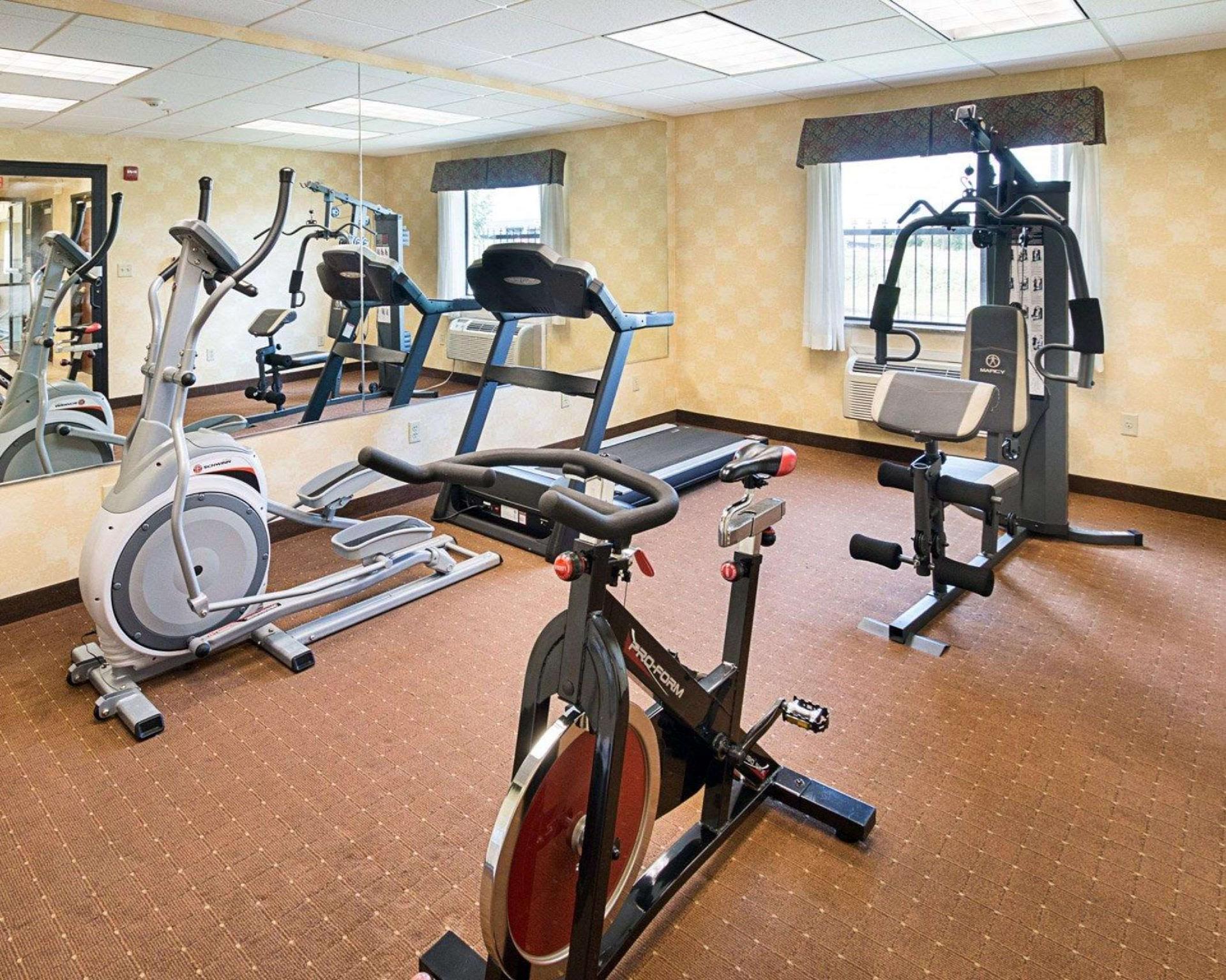 Thể thao và hoạt động