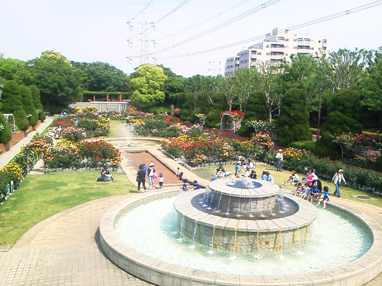 Khu vực xung quanh