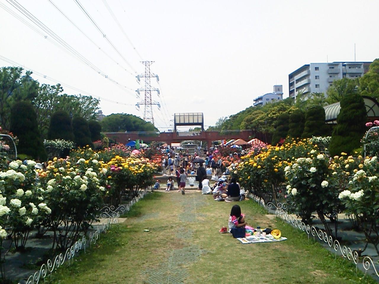 Khu vực xung quanh