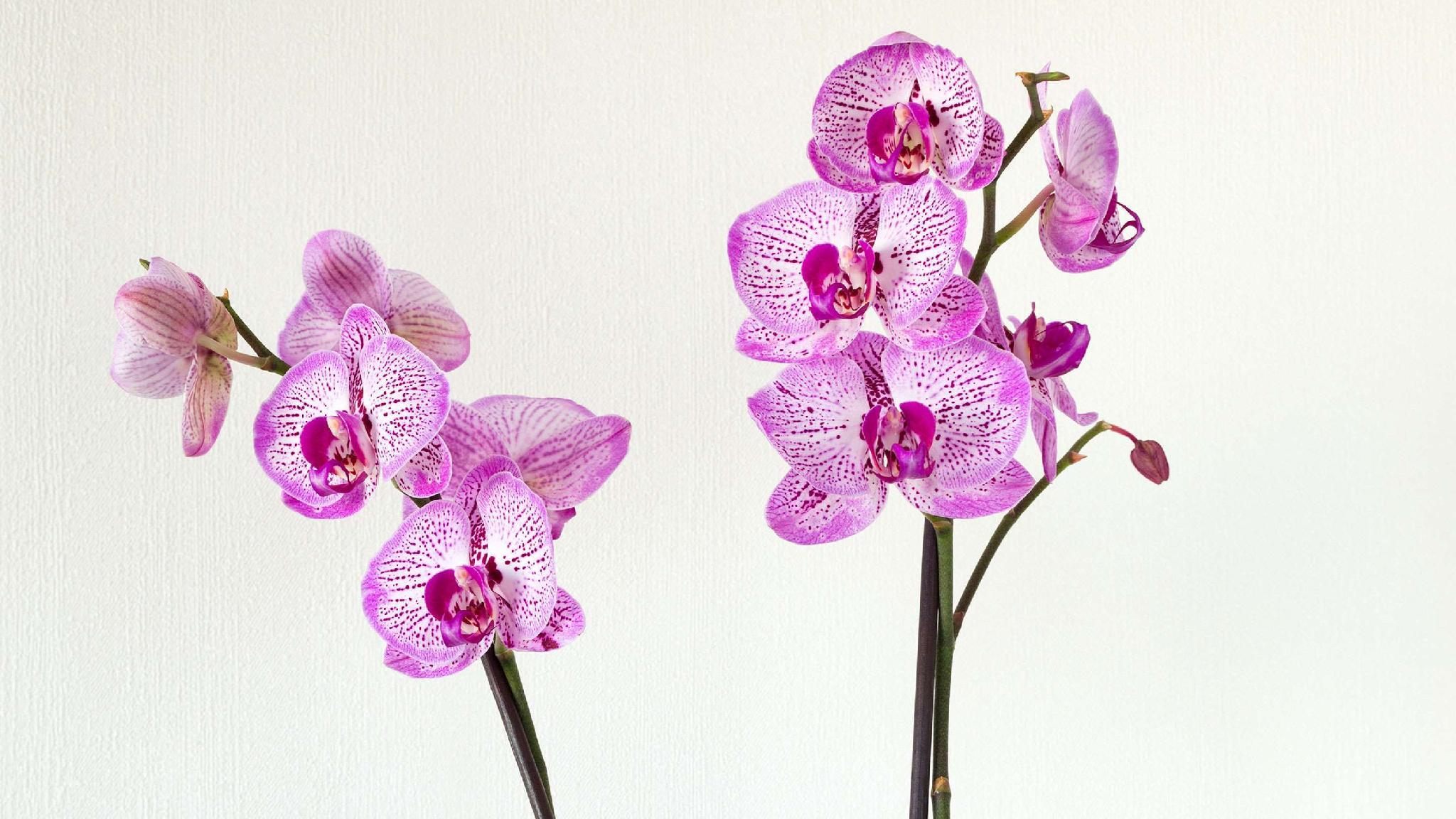 Nội thất khách sạn