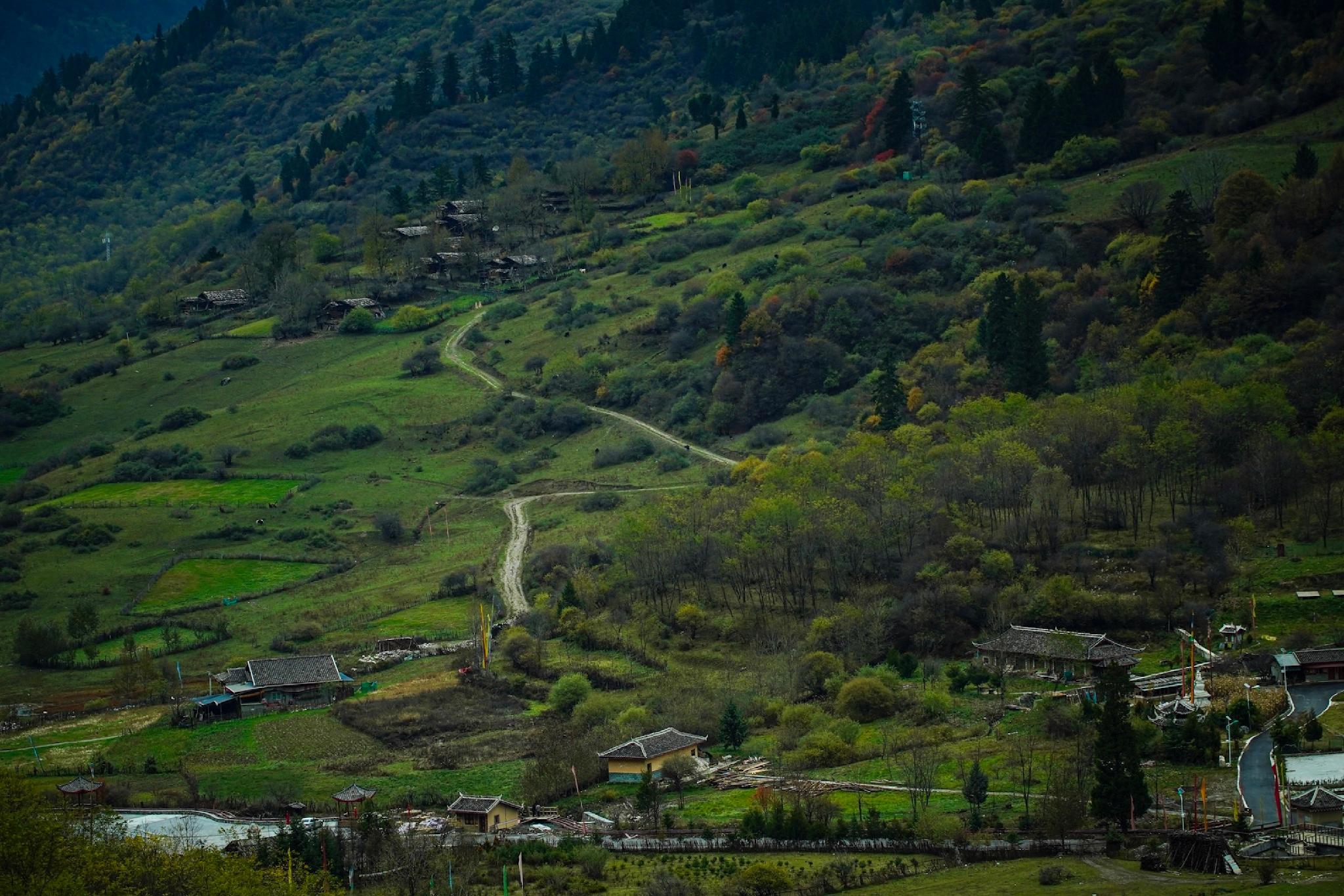 Khu vực xung quanh