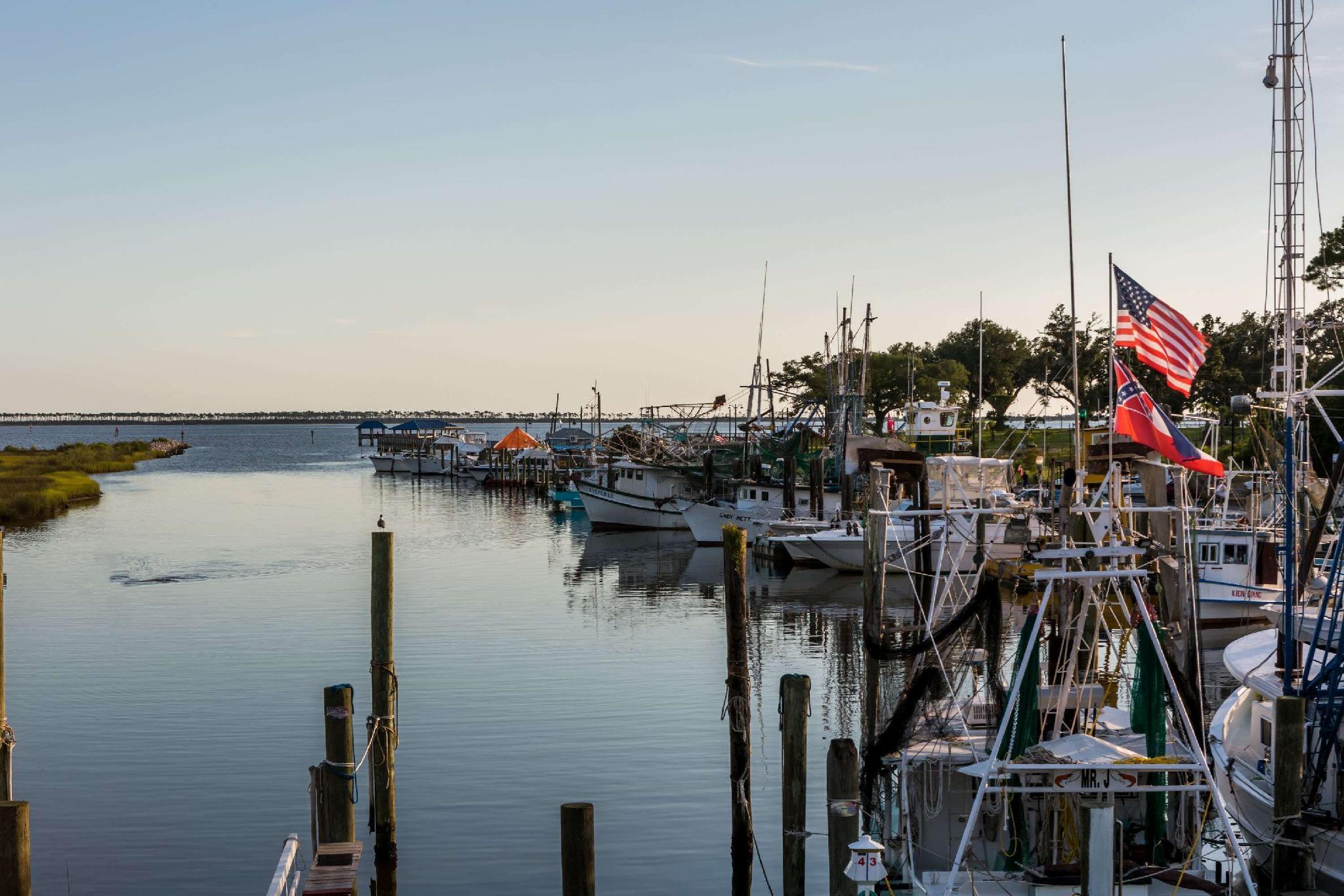 Khu vực xung quanh