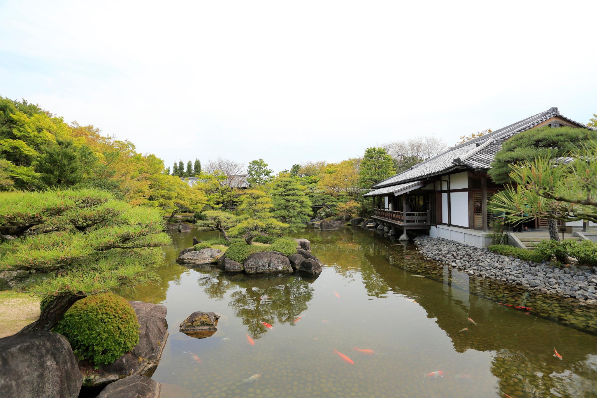 Nơi tham quan gần đây