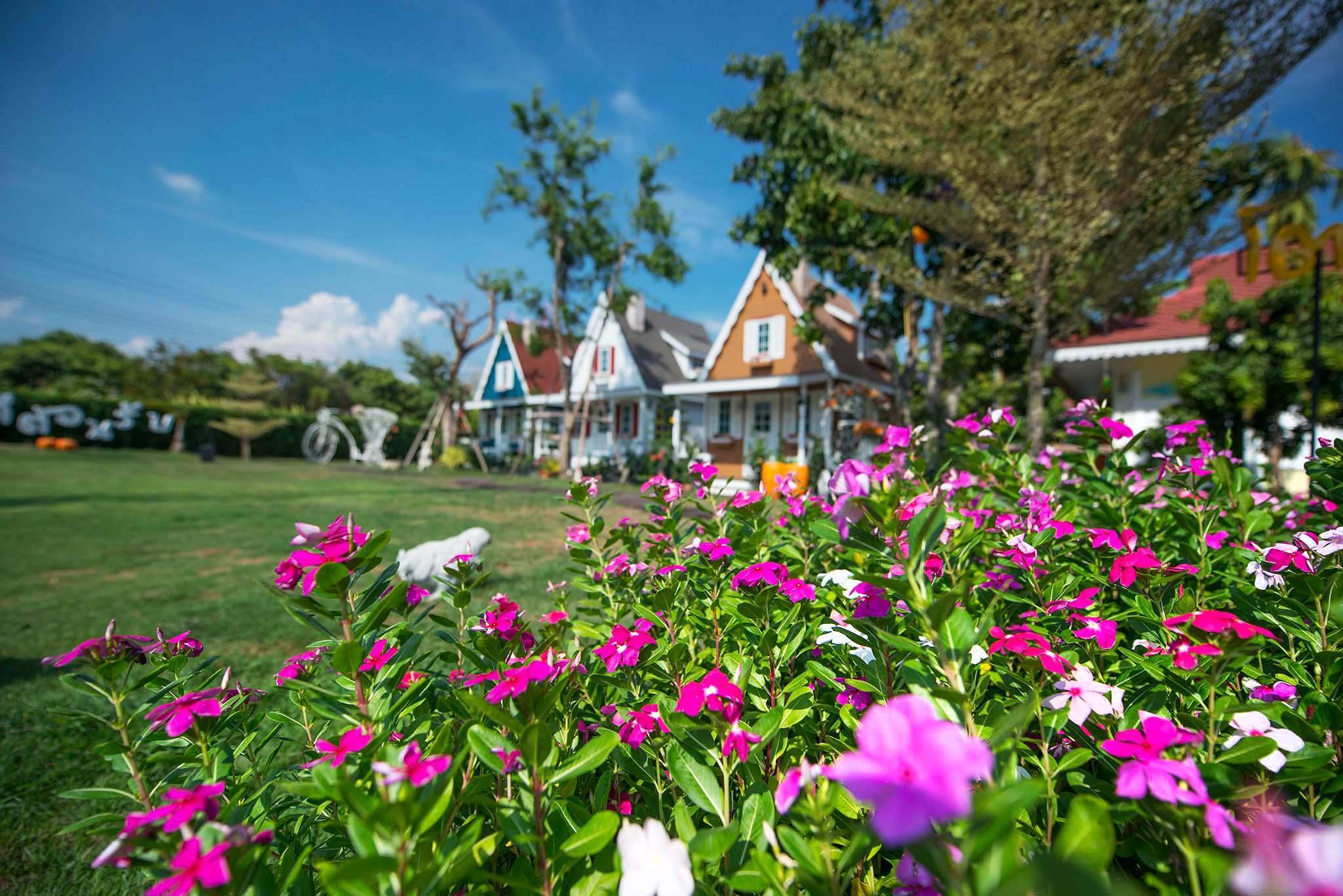 Khu vực xung quanh