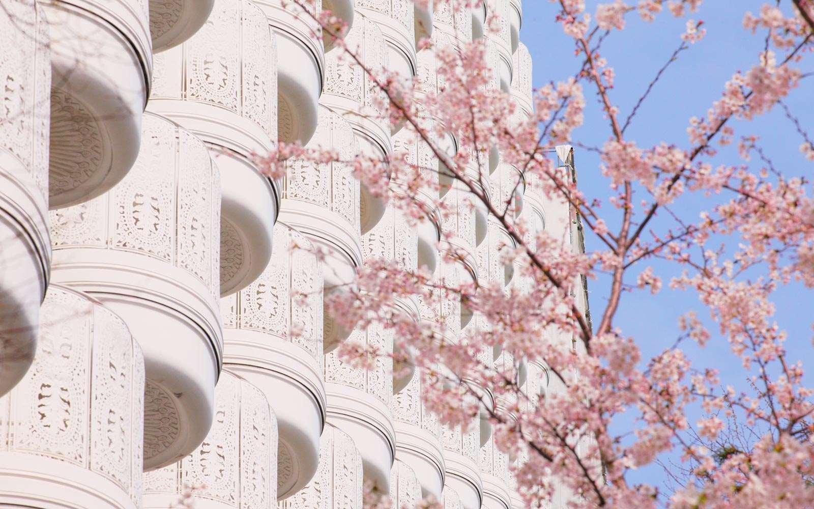 Ngoại cảnh khách sạn