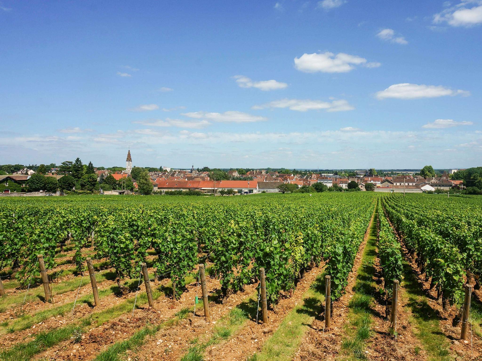 Tiện nghi giải trí