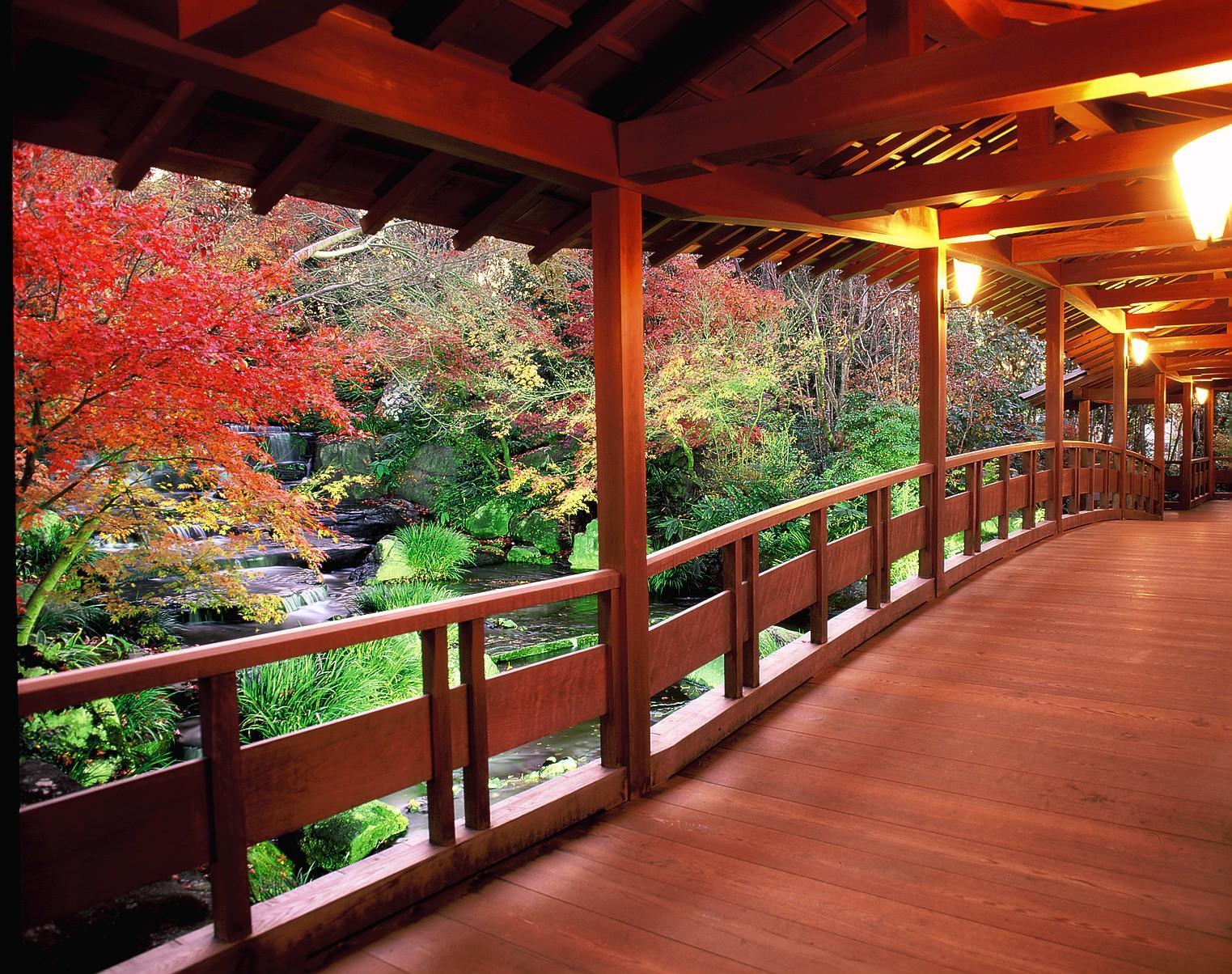 Nơi tham quan gần đây