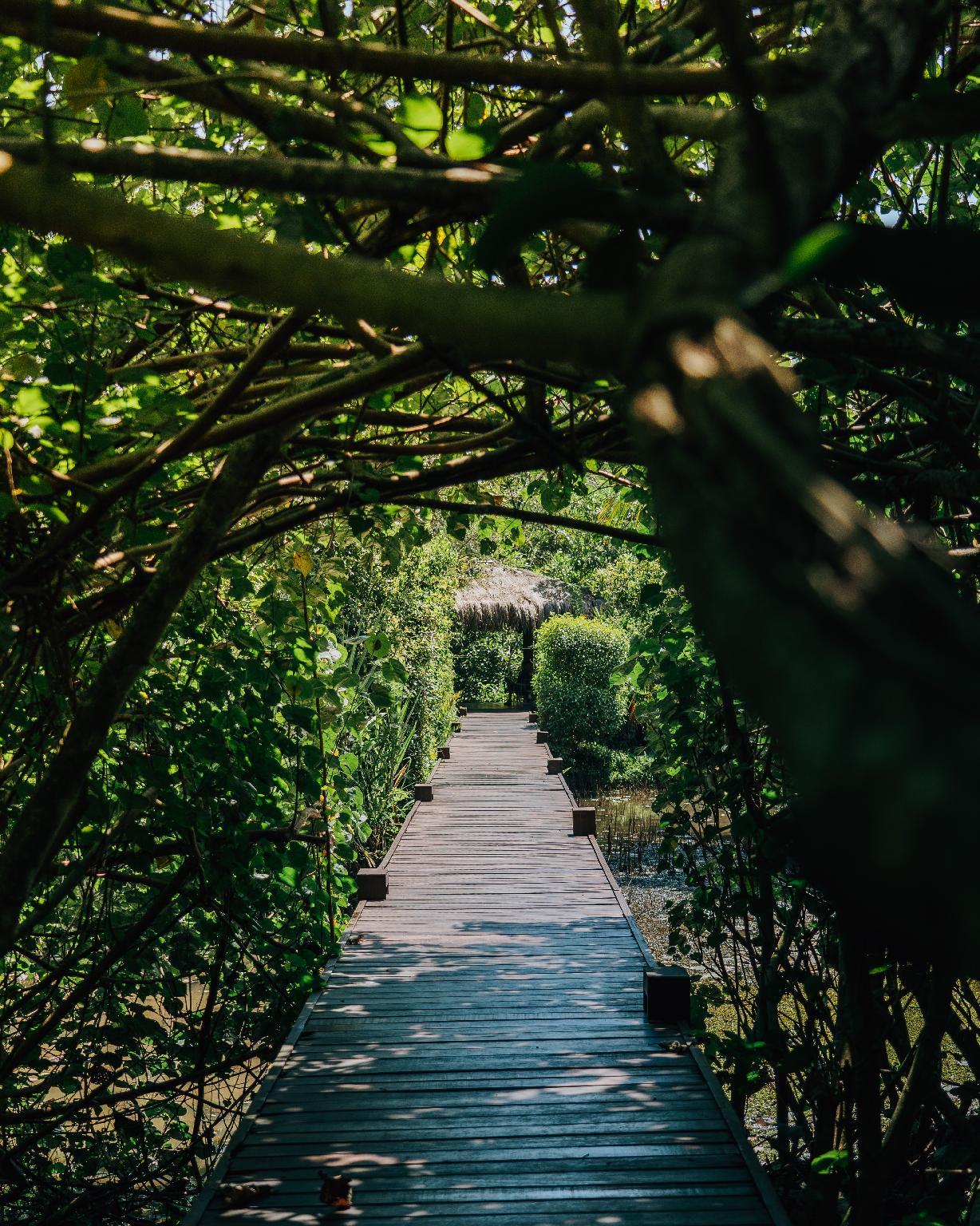 Khu vực xung quanh