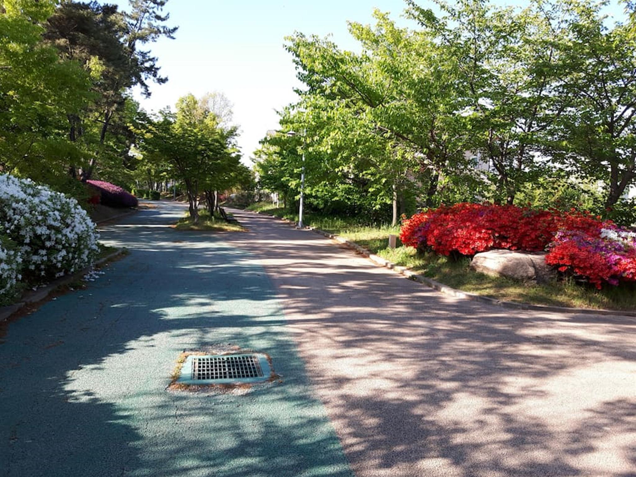 Khu vực xung quanh