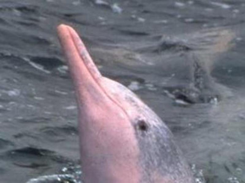 Khu vực xung quanh