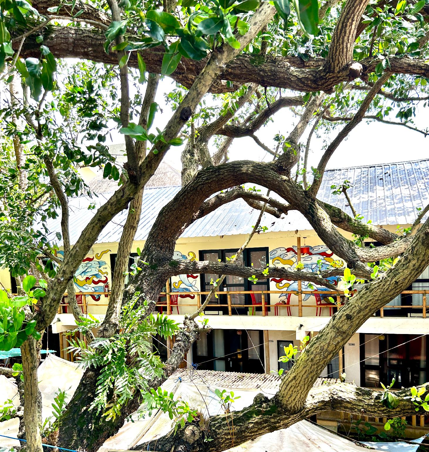 Ngoại cảnh khách sạn