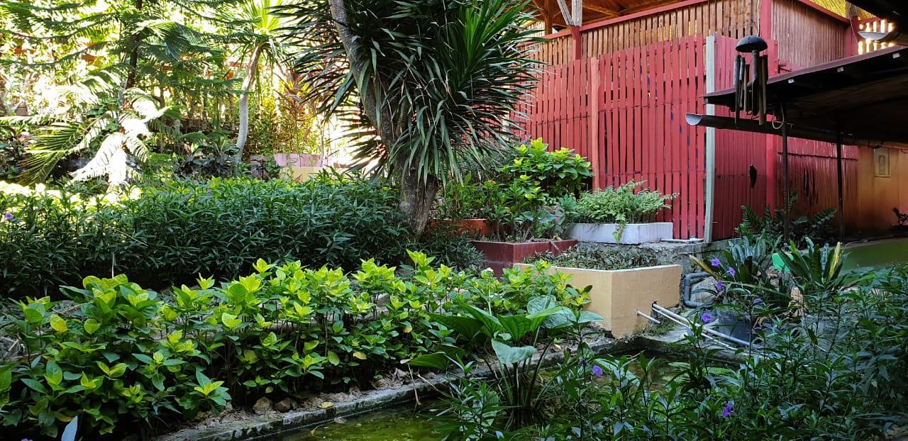 Khu vực xung quanh