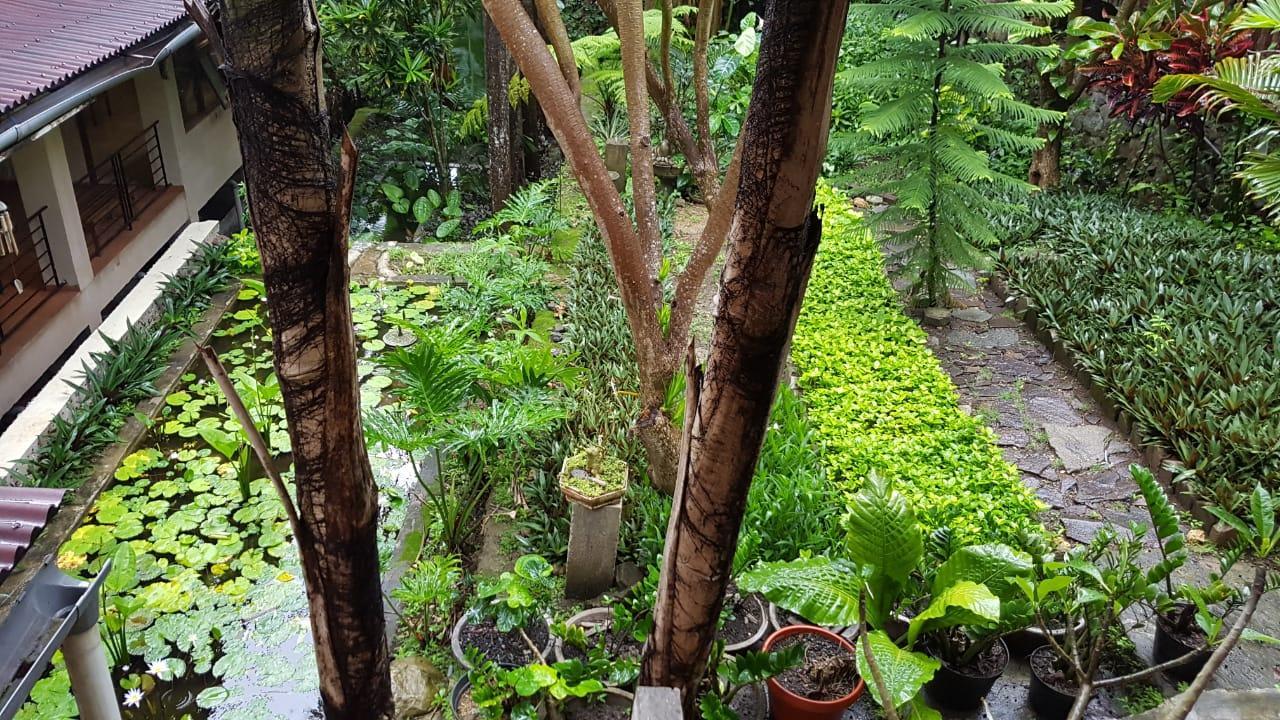 Ngoại cảnh khách sạn