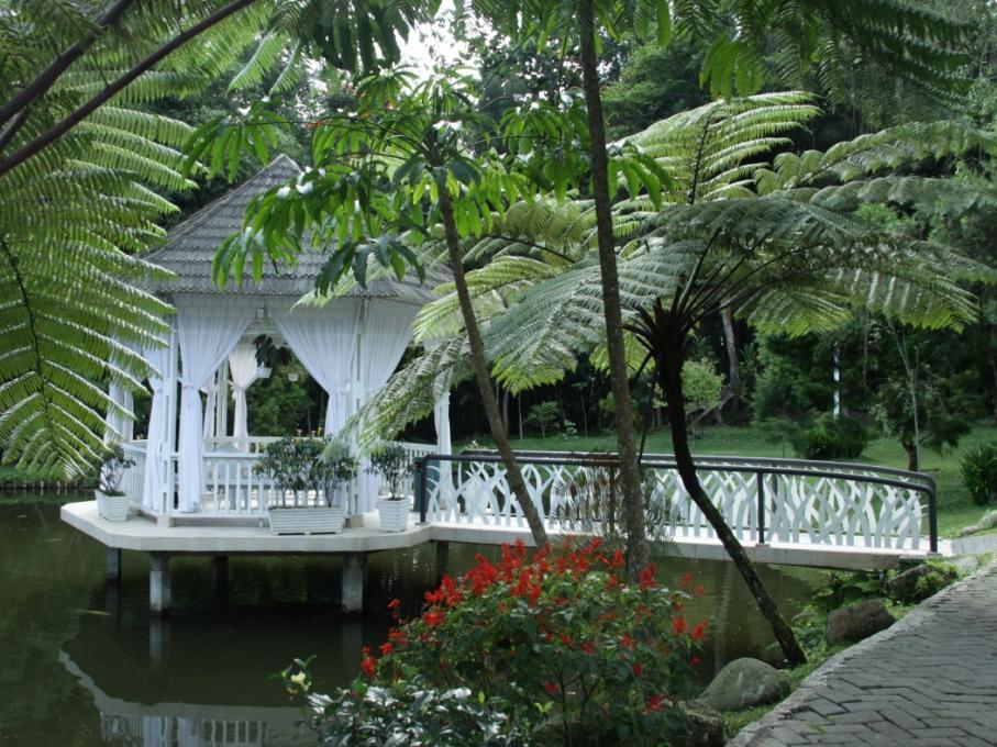 Ngoại cảnh khách sạn