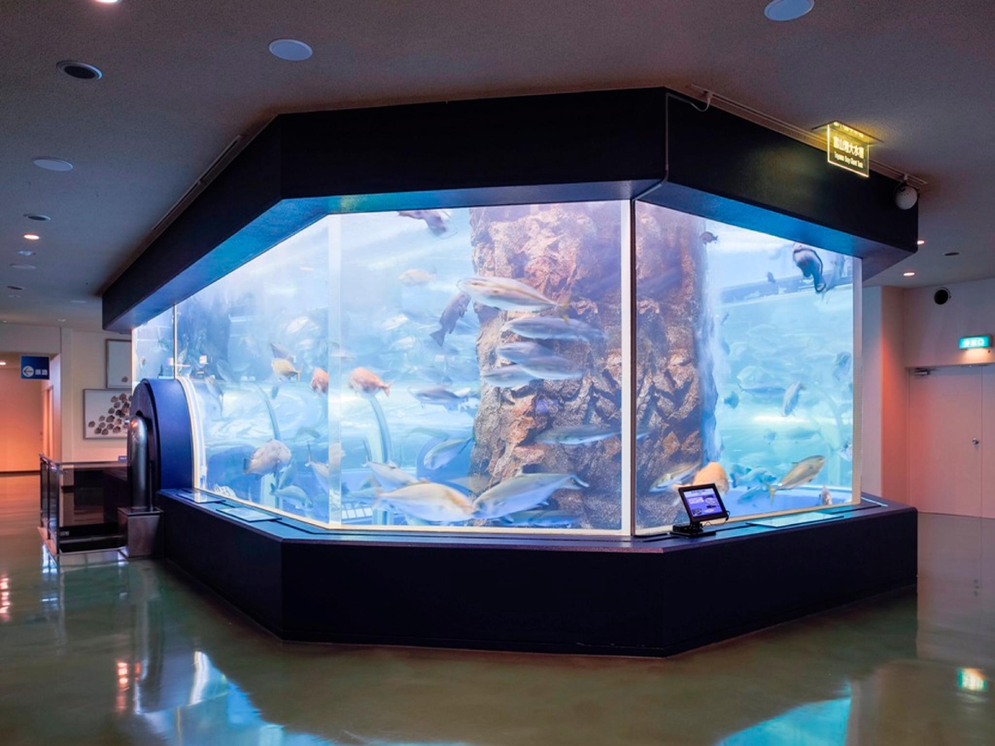 Nơi tham quan gần đây