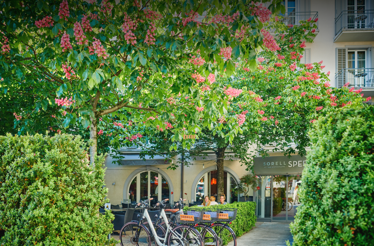 Ngoại cảnh khách sạn