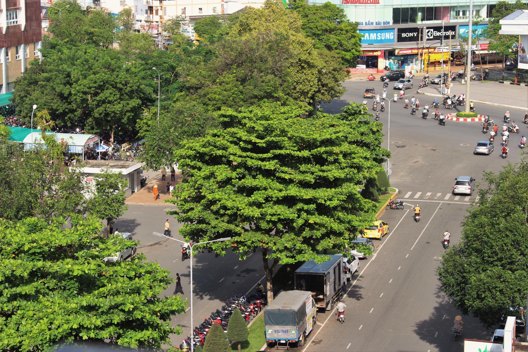 Ngoại cảnh khách sạn