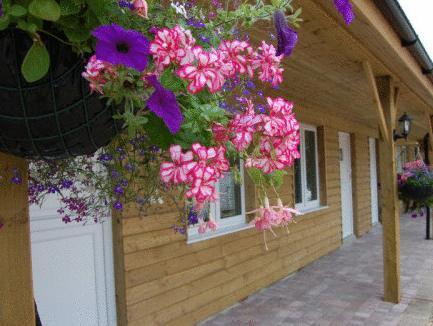 Ngoại cảnh khách sạn