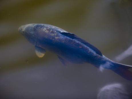 Nội thất khách sạn