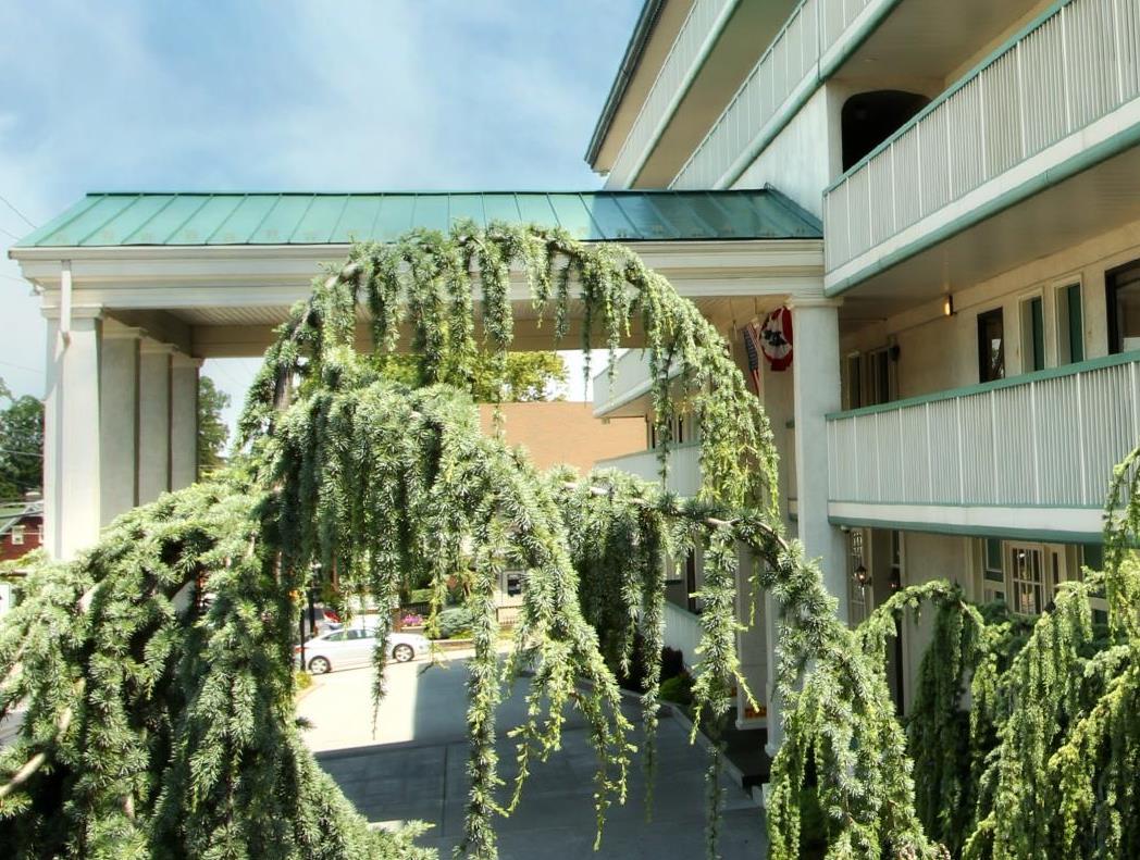 Ngoại cảnh khách sạn