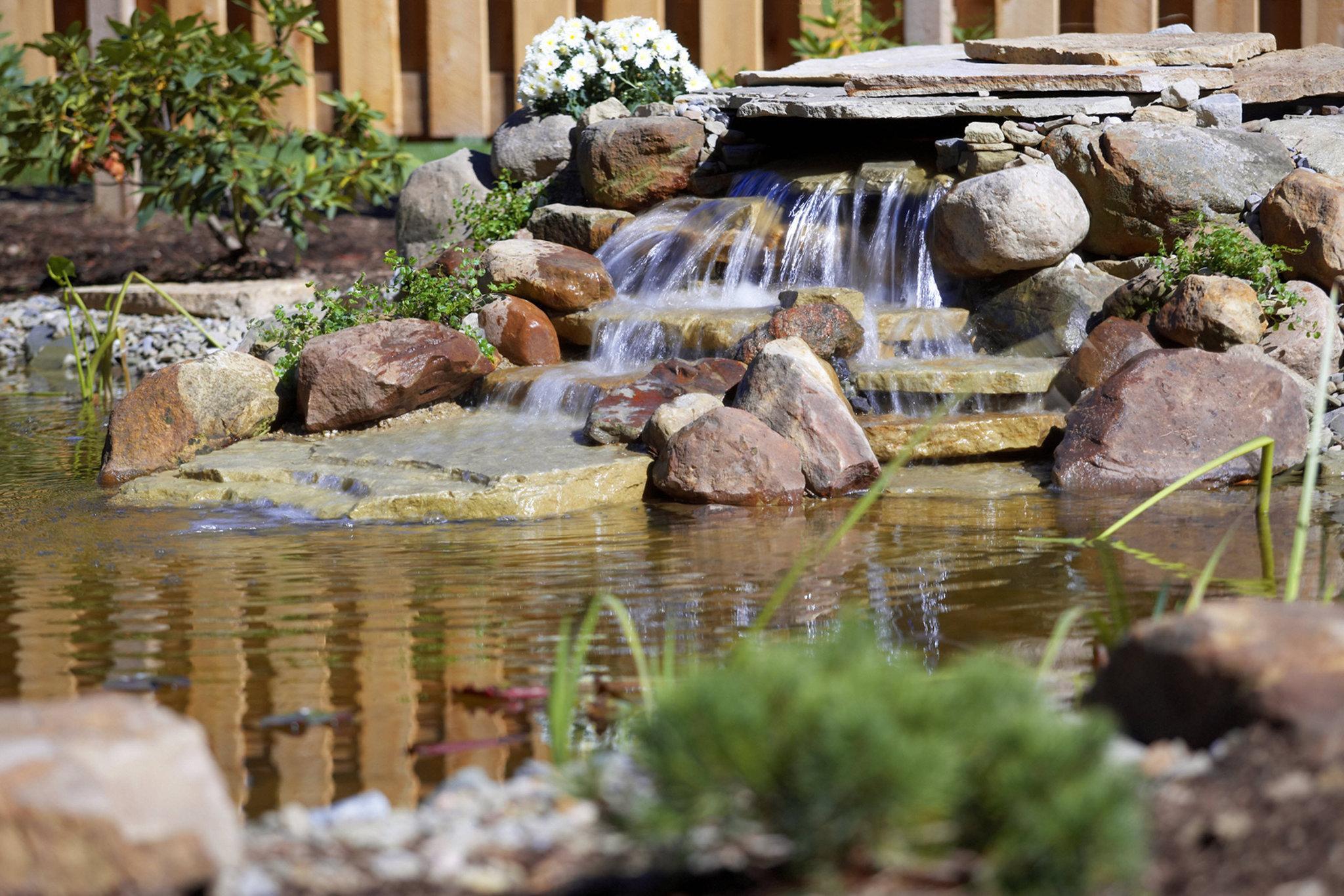 Khu vực xung quanh